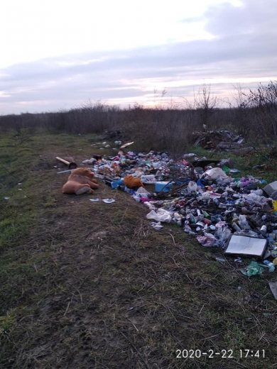 У Виноградівському районі люди влаштували сміттєзвалище просто серед поля