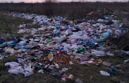 У Виноградівському районі люди влаштували сміттєзвалище просто серед поля