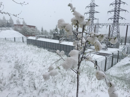Карпати завалило снігом у травні: синоптики попередили про небезпеку (ФОТО)