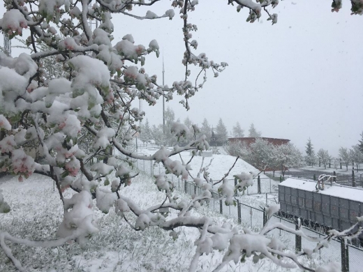 Карпати завалило снігом у травні: синоптики попередили про небезпеку (ФОТО)