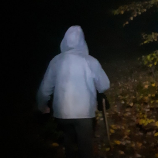 Поблизу Ужгорода заблукала жінка, яка пішла в ліс по гриби (ФОТО)
