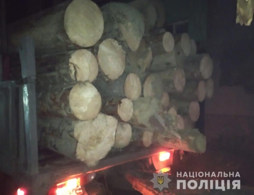 На Рахівщині викрили незаконне перевезення деревини
