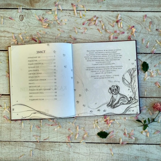 "Казки для Елізи": вийшли друком дитячі історії закарпатського автора