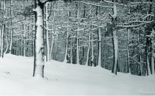 В інтернеті опублікували фотографії закарпатської зими 1967 року