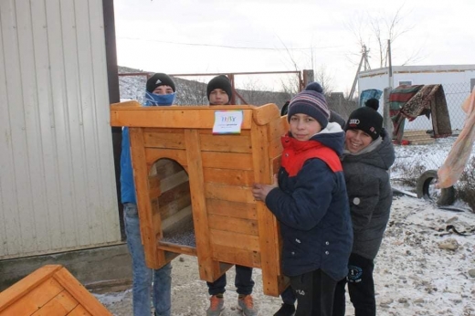 В Ужгороді діти зробили для собак з притулку хатинки (ФОТО)