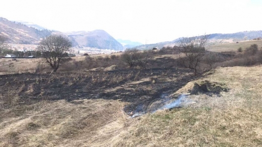 Двох жителів Закарпатті оштафували за спалювання трави