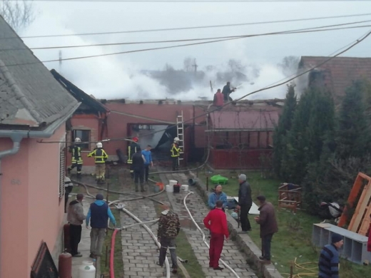 Пожежа на Берегівщині: рятувальники встигли врятувати житловий будинок від знищення