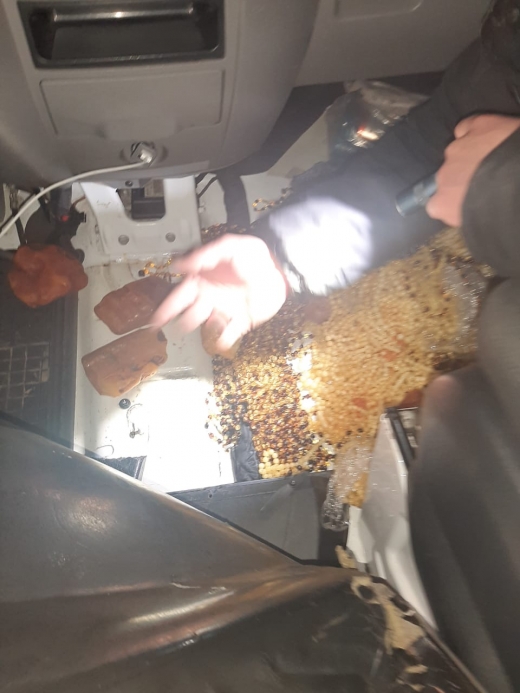 На кордоні з Румунією виявили 15 кг бурштину 