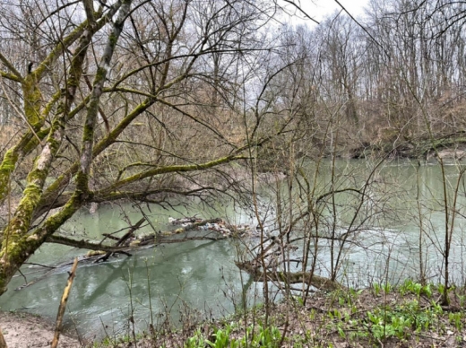 На річці Боржава виявили 10 сміттєвих заторів