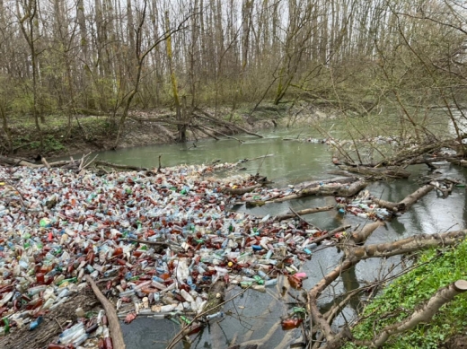 На річці Боржава виявили 10 сміттєвих заторів