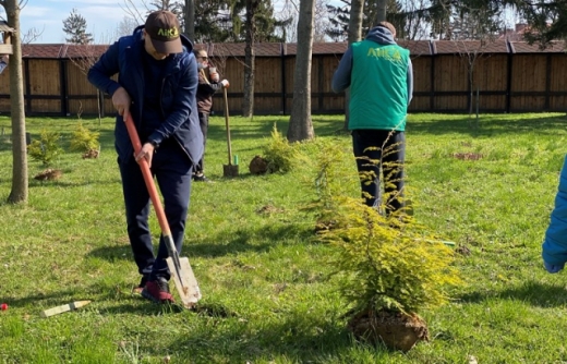 Волонтери в Мукачеві посадили понад 900 дерев (ФОТО)