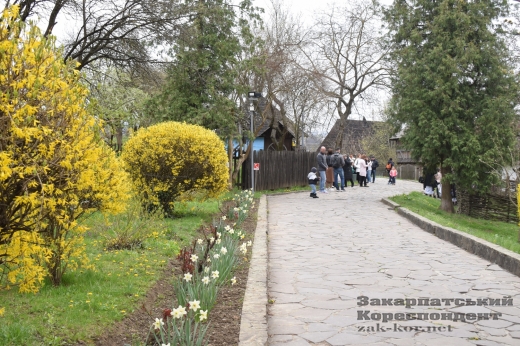 В Ужгороді – "Весняний буйноцвіт" (фоторепортаж)