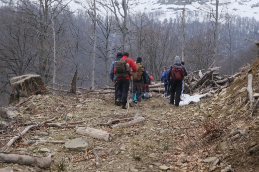 На Закарпатті поновили пошуки в горах тіла заблукалого туриста з Києва (ФОТО)