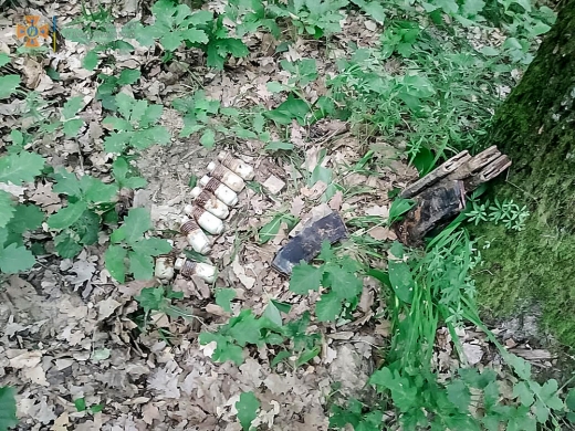 Закарпатські піротехніки знищили 158 боєприпасів, виявлені на Мукачівщині