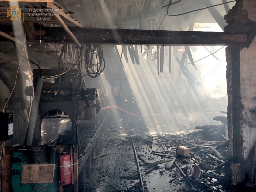 На двох деревообробних підприємствах спалахнули пожежі: подробиці