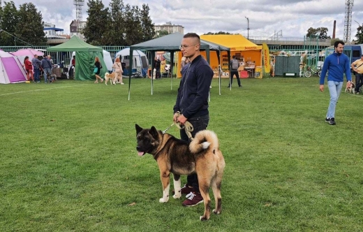 На стадіоні «Авангард» тривають міжнародні виставки собак