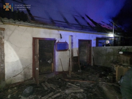 Пожежа на Мукачівщині: поки власники спали, вогонь охопив літню кухню, гараж і хлів