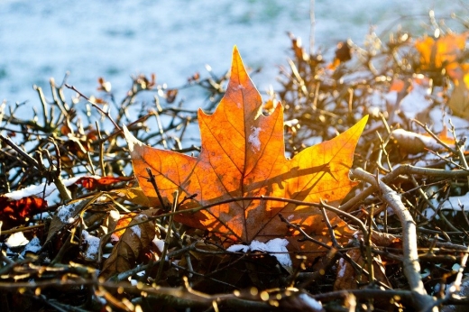 Сонячно й морозно: прогноз погоди на 17 листопада