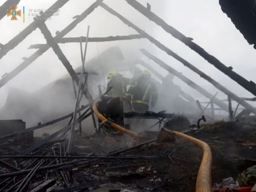 Протягом однієї доби тячівські рятувальники ліквідували пожежі на двох приватних обійстях