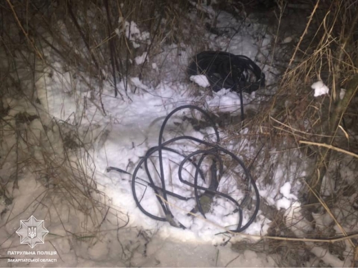 Крадіїв комунікаційного кабеля затримали в Мукачеві