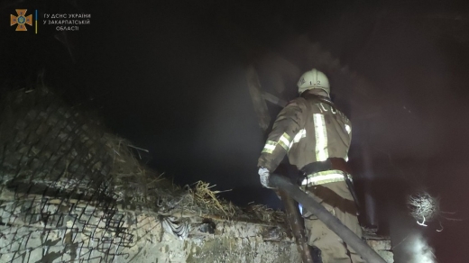 У Берегівському районі рятувальники ліквідували пожежу на території приватного господарства