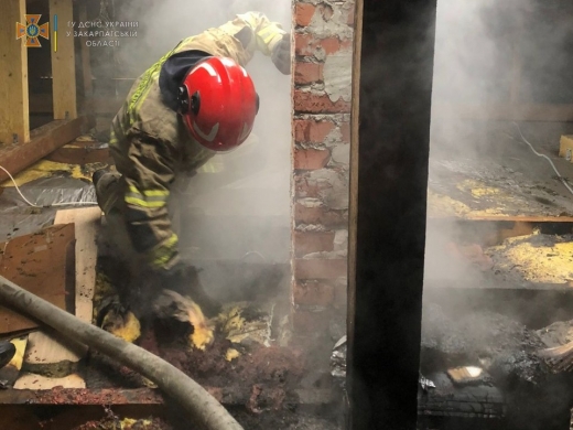 За добу ужгородські рятувальники ліквідували три пожежі