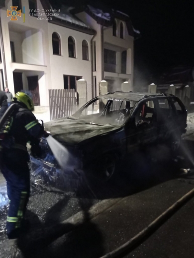 На Тячівщині під час спроби загасити пожежу в авто травмувався його водій