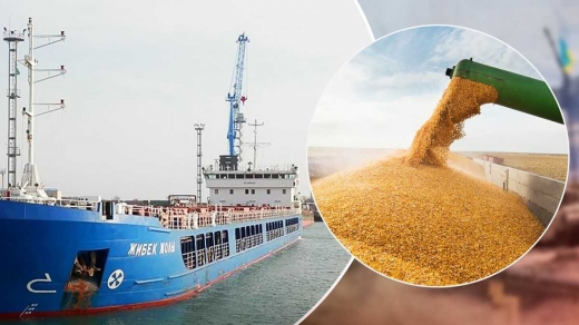 У Туреччині почали розслідування через крадене українське зерно на російському судні, – ЗМІ