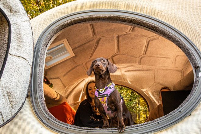 Whatsapp Image 2024 10 21 At 14.17.16 23fdee87