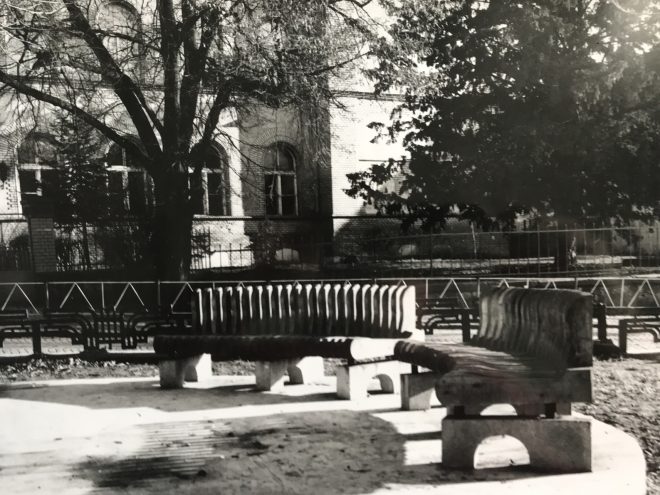 Коник З архіву Казимира Медвецького