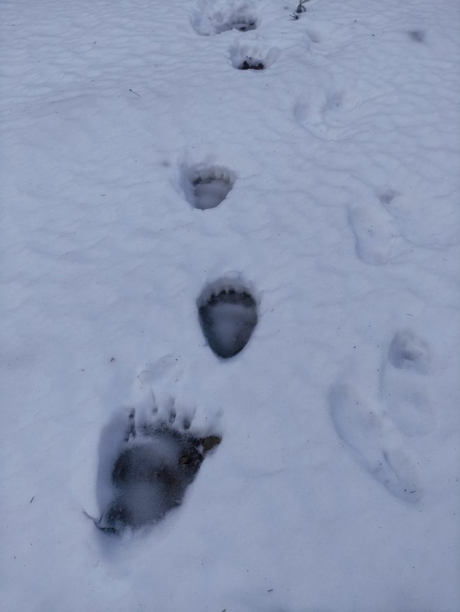 475387908 1030062649153074 1570923318150907926 N