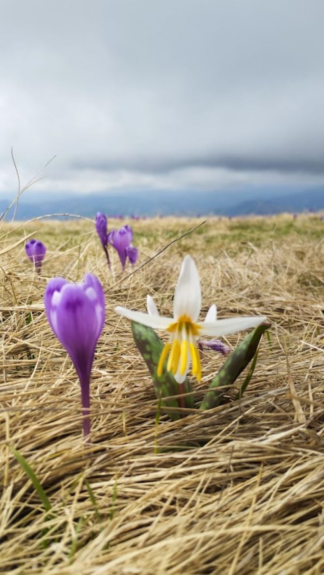 Фото Клуб екологічного туризму Добре поїхали (12)