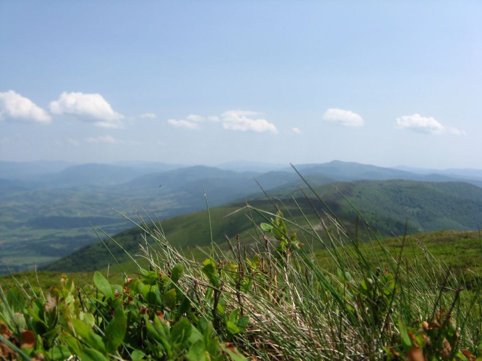Боржава3