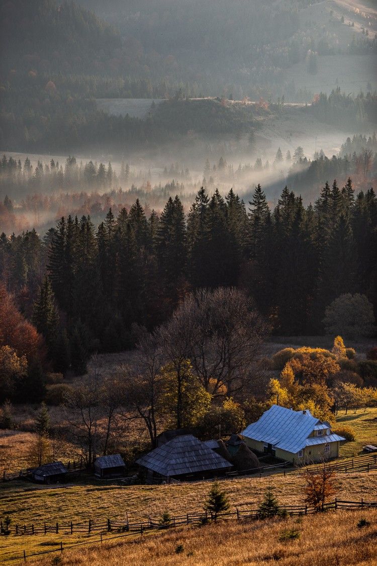 Колочава