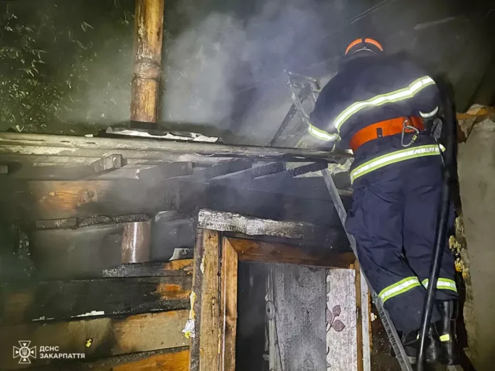 img-5010jpg_6901d04b7ab07