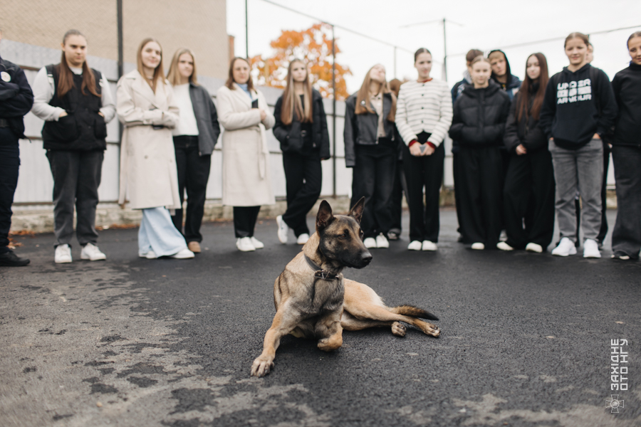- Закарпатський Кореспондент