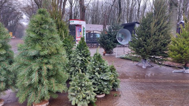 Whatsapp Image 2025 12 12 At 12.42.47 F31b7c4a