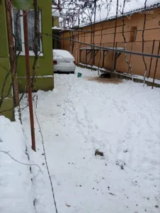 photo2026-01-1114-53-03-2_69639db253a61 - Закарпатський Кореспондент