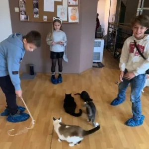 photo2026-01-1116-52-20_6963c4eb30b33 - Закарпатський Кореспондент