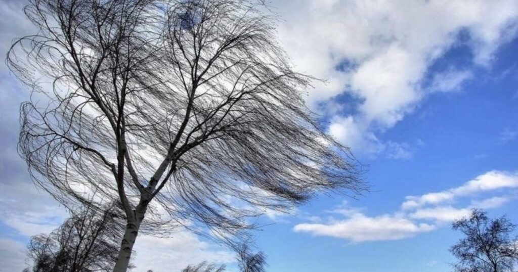 Сильний вітер та ожеледиця на дорогах: метеорологи попередили про небезпеку на Закарпатті