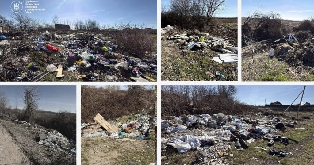 У Виноградівській громаді екоінспектори виявили десятки незаконних сміттєзвалищ