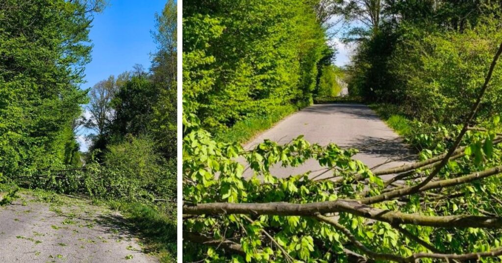 Штормовий вітер спричинив ускладнення руху на дорогах Закарпаття