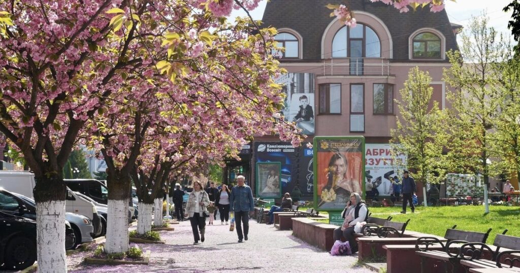 Закарпаття зустрічає весну: сакури розцвітають у Тячеві