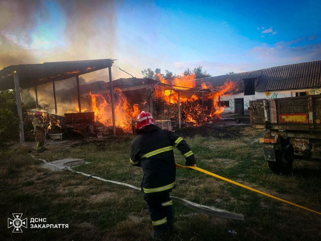Пожежа на Ужгородщині: Сонячні панелі знищені, але життя тварин врятоване