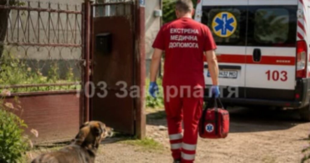 Нападок домашнього улюбленця: на Іршавщині літня жінка госпіталізована після укусів собаки